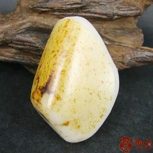 不吃海鲜