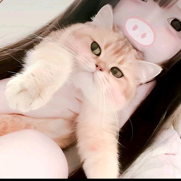 无念着你