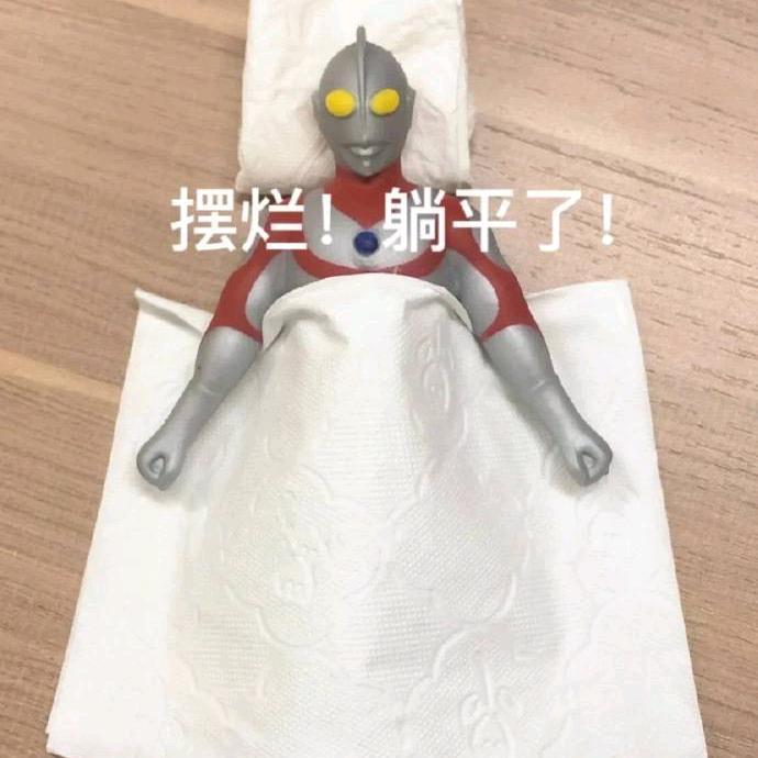 困困某代软胶🦁