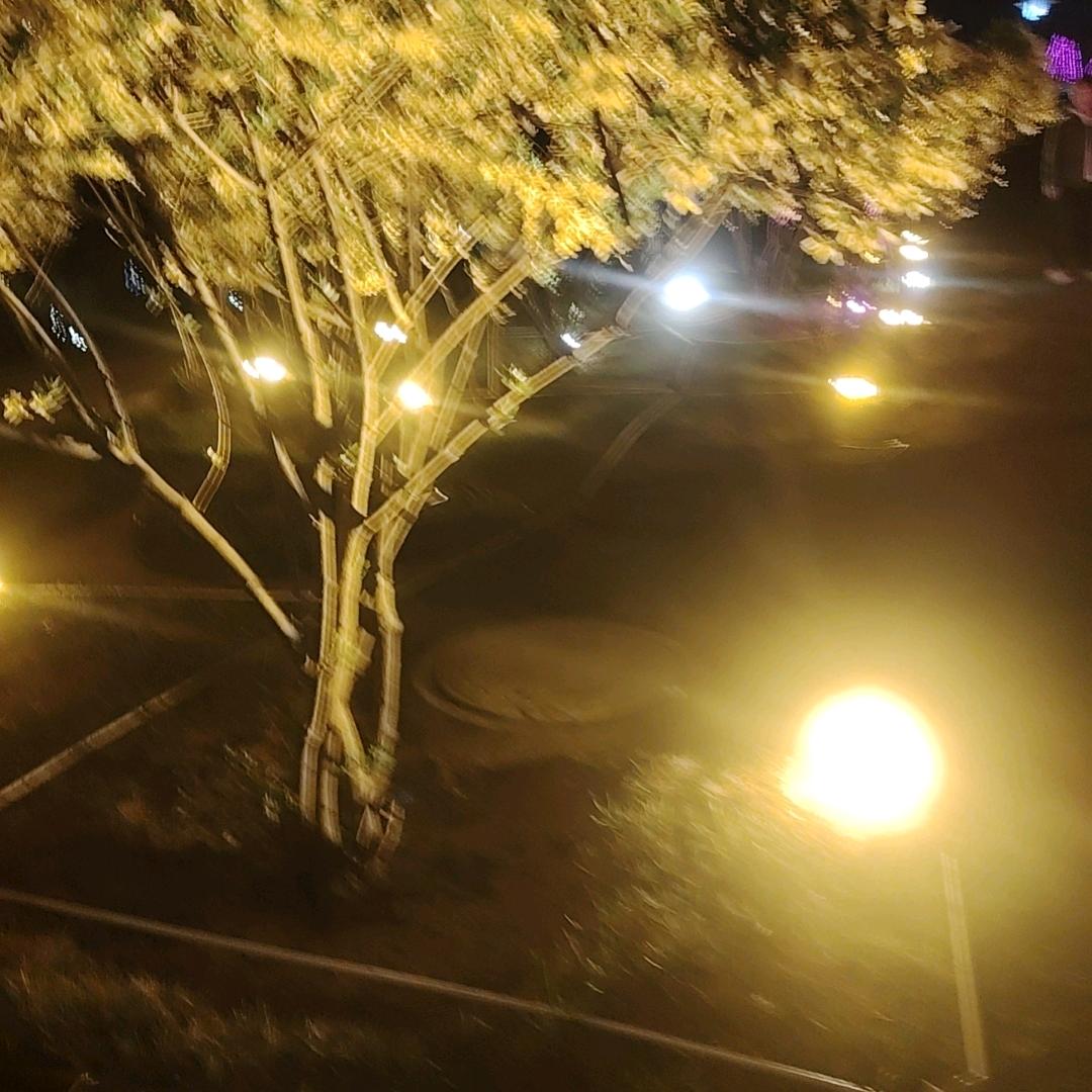 🍀♥️兰姐♥️🍀