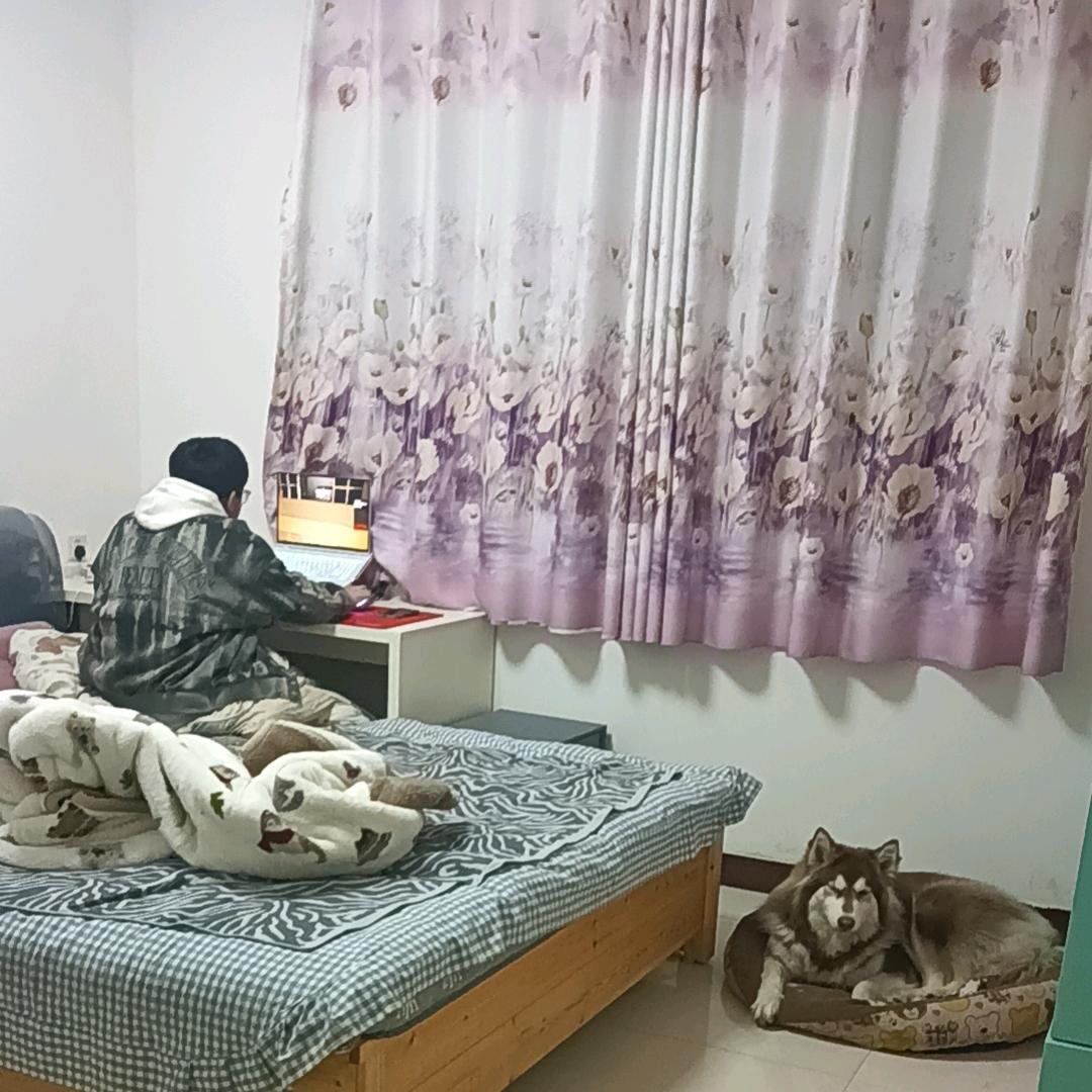 老八