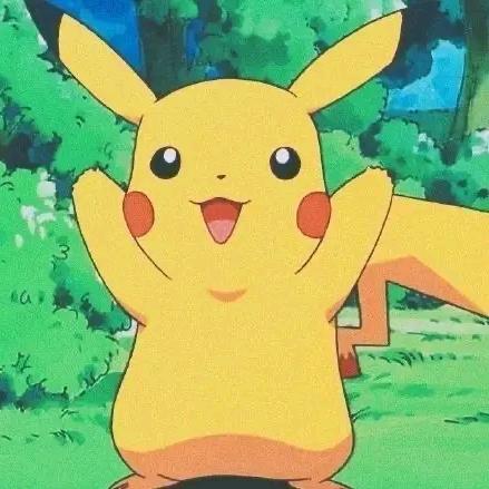 *^_^*   皮卡丘