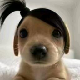 高冷痞帅纯情大男孩勾引隔壁性感风骚美……