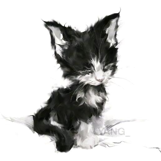 安宁，(萌宠全国可发)