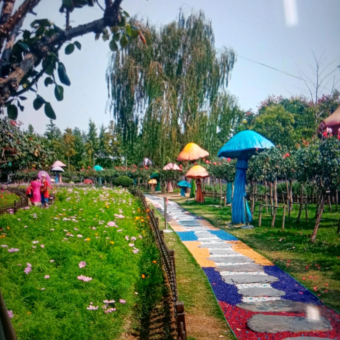 前程似锦，，，