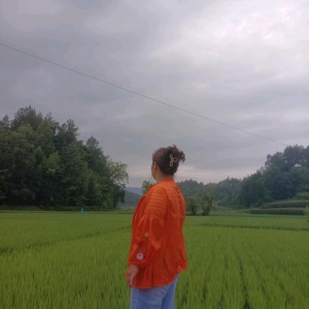 路边小草