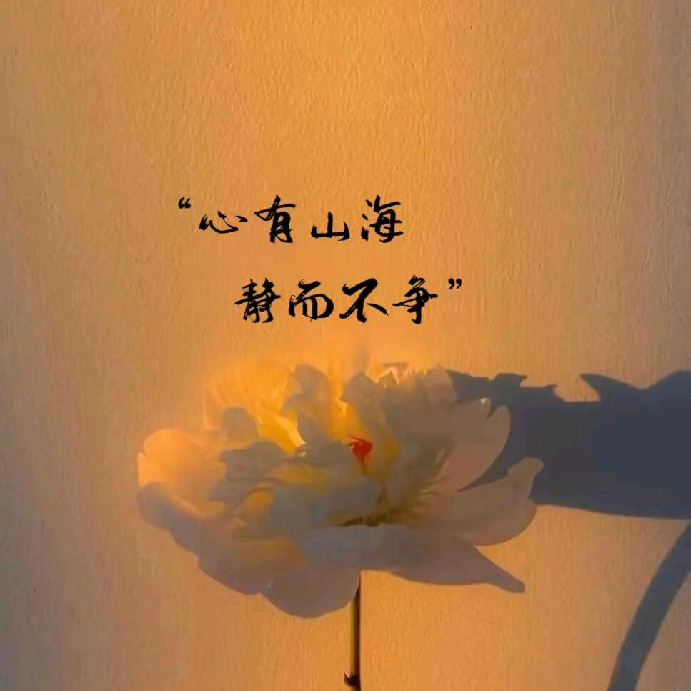 太阳花lxf
