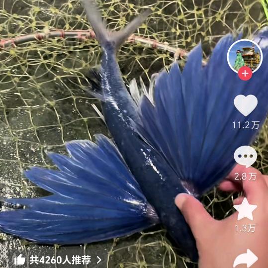 我的农村生活