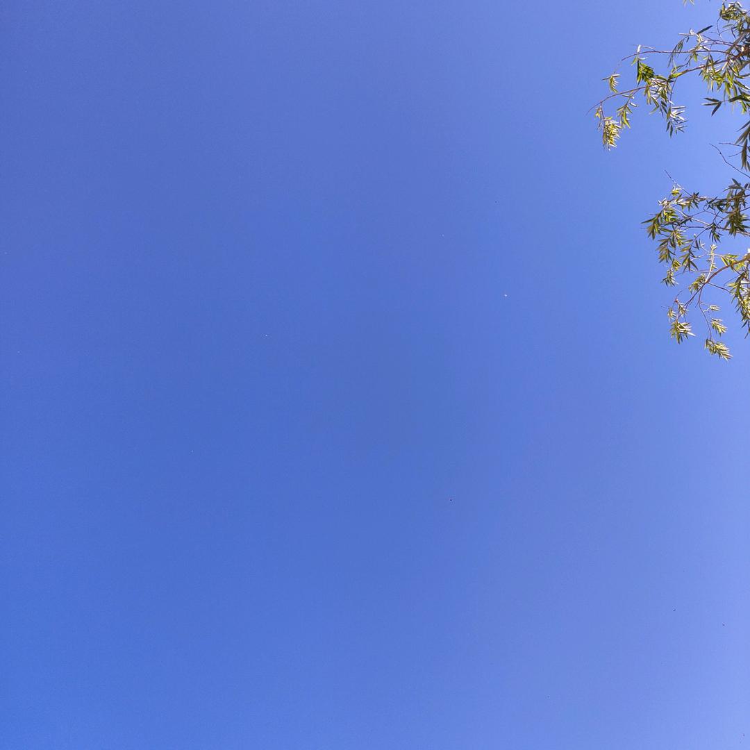 更团结