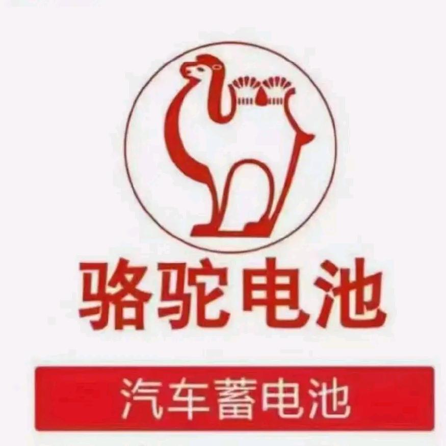 濮城二厂骆驼蓄电池