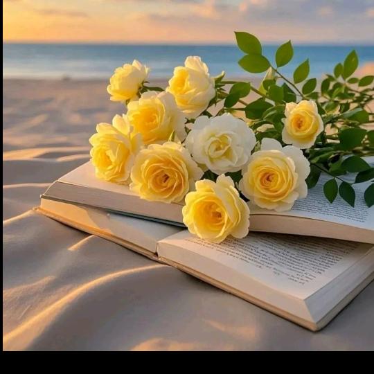 დ᭄别谈ꦿ꧔ꦿ如果℘⸙