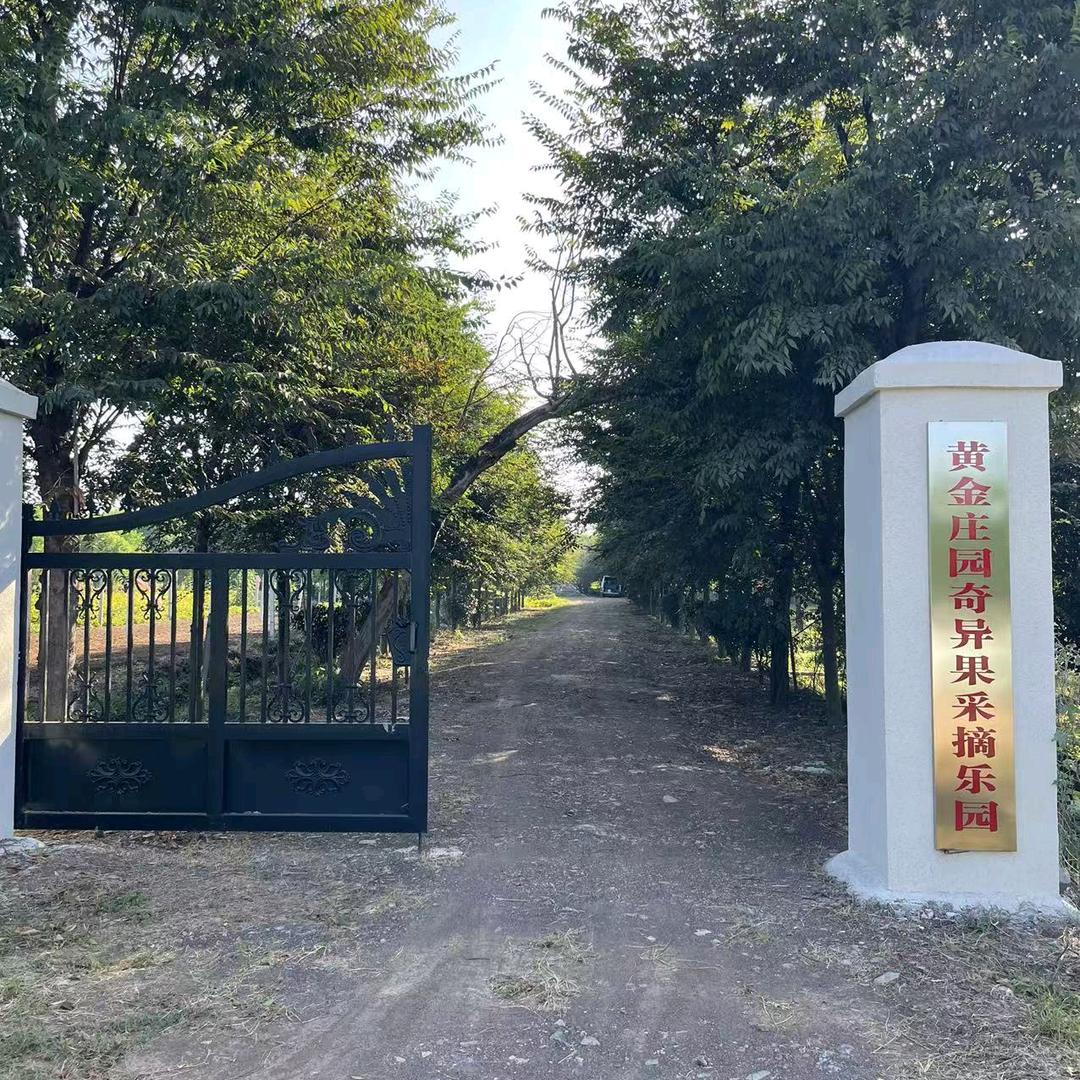 黄金庄园