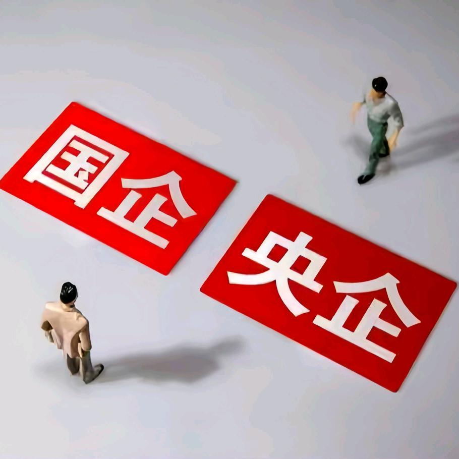 央国企就业指导