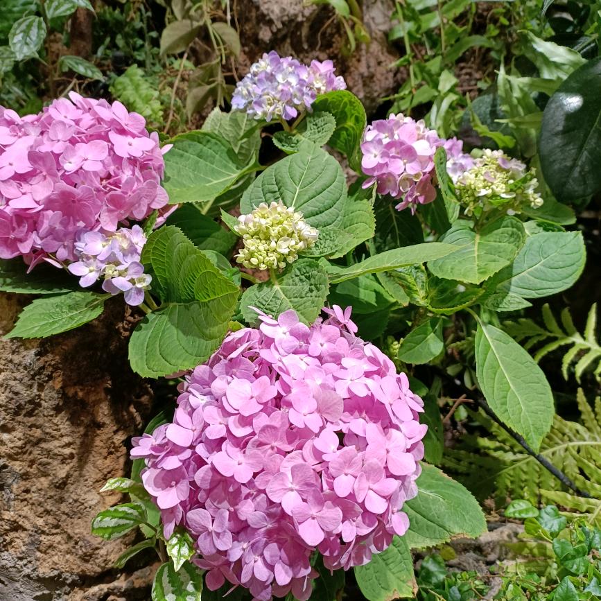 刘桂秀每天开心快乐