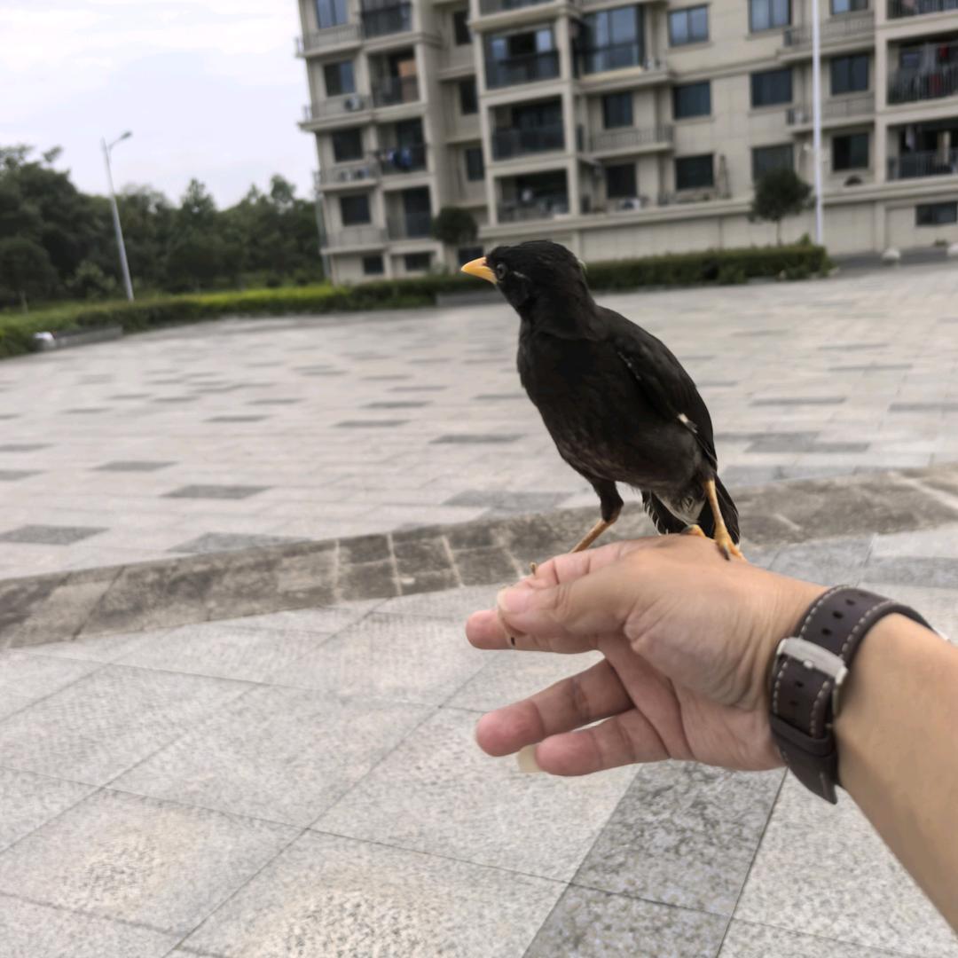 一生何求