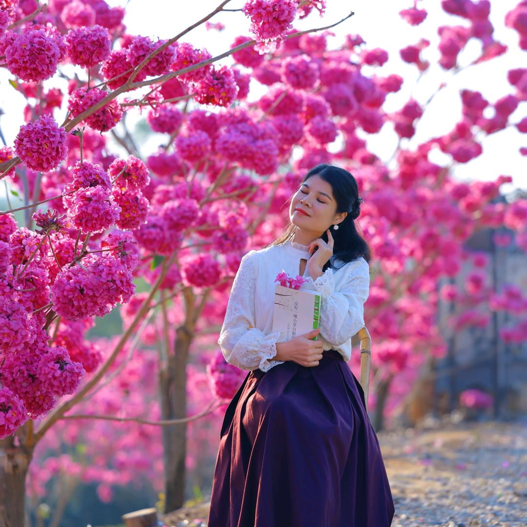 山里小菇