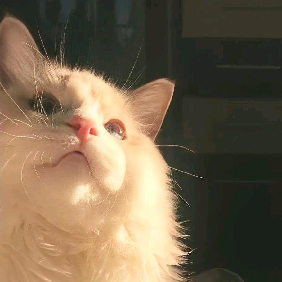 辽宁最锋利的剑