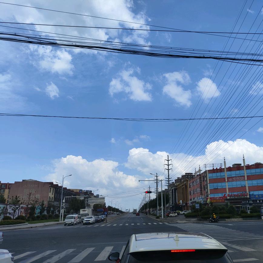 王先生爱吃鱼