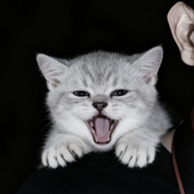 熬夜老师📷（街拍博主）