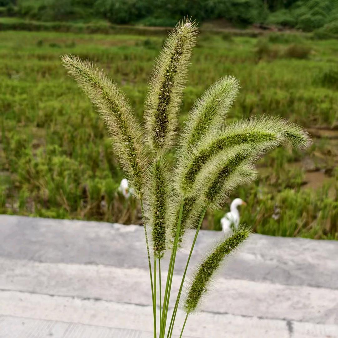 时光里鲜味铺子小王