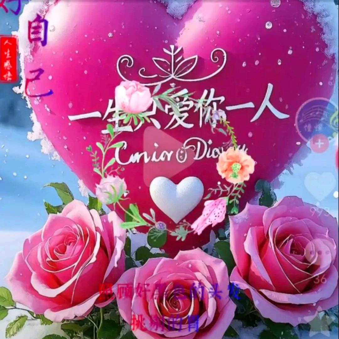 🦋ꦿ໊苦命的🕊 男人🦋ꦿ໊