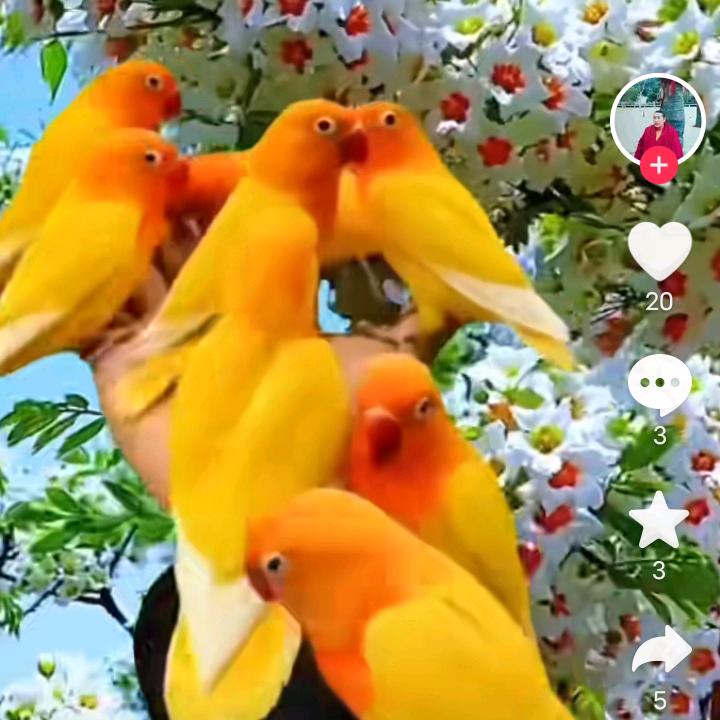 62350731044