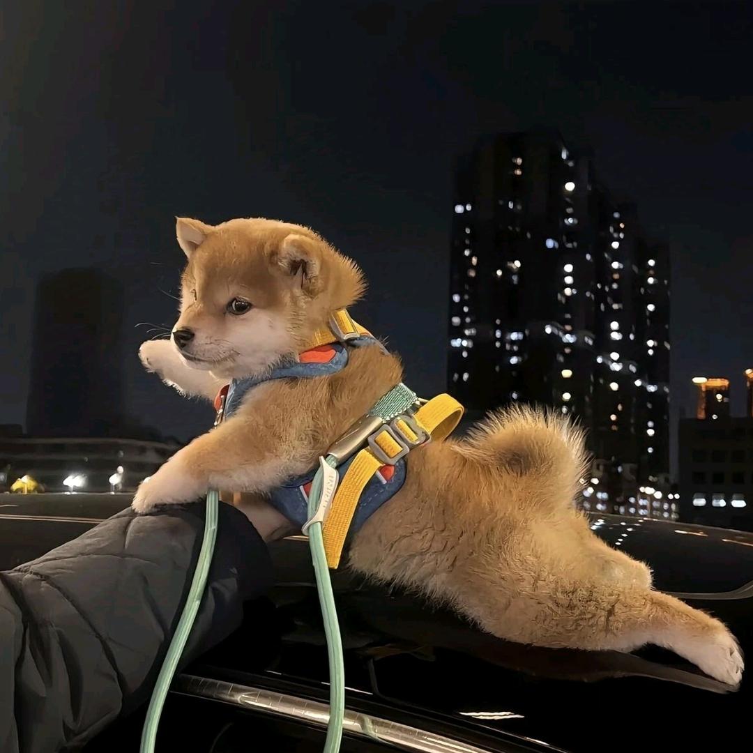 早上六點睡