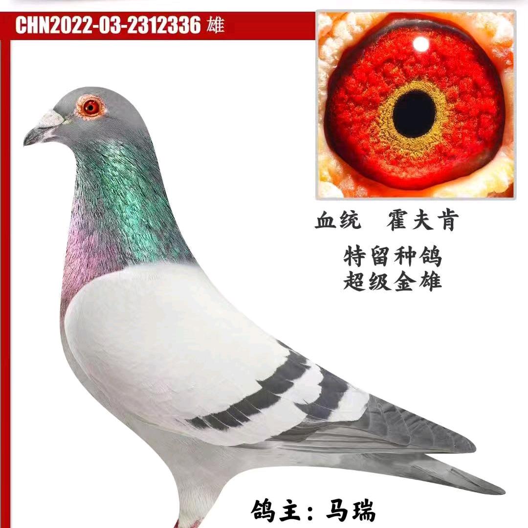 马瑞饭店
