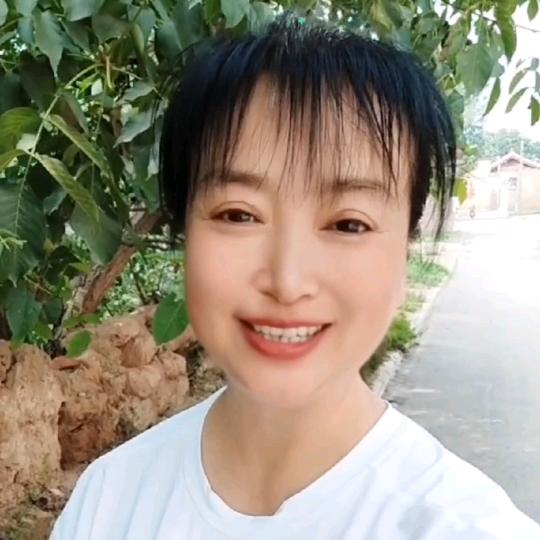 国夏诺