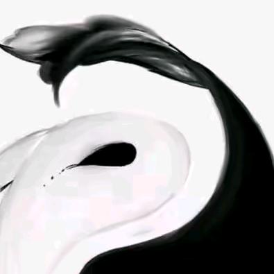 顺∫姐财姐