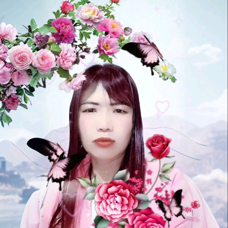 xzxx