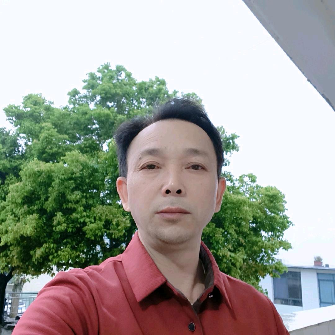大象