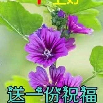 顶天立地
