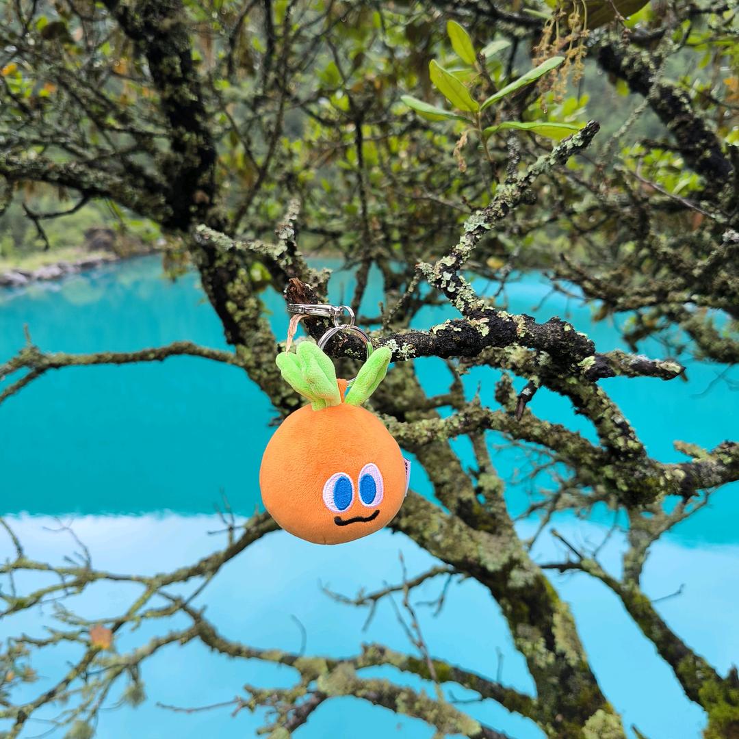 村口烫头懒羊羊