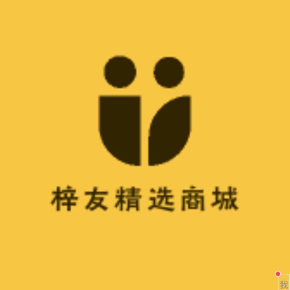 梓友精选商城