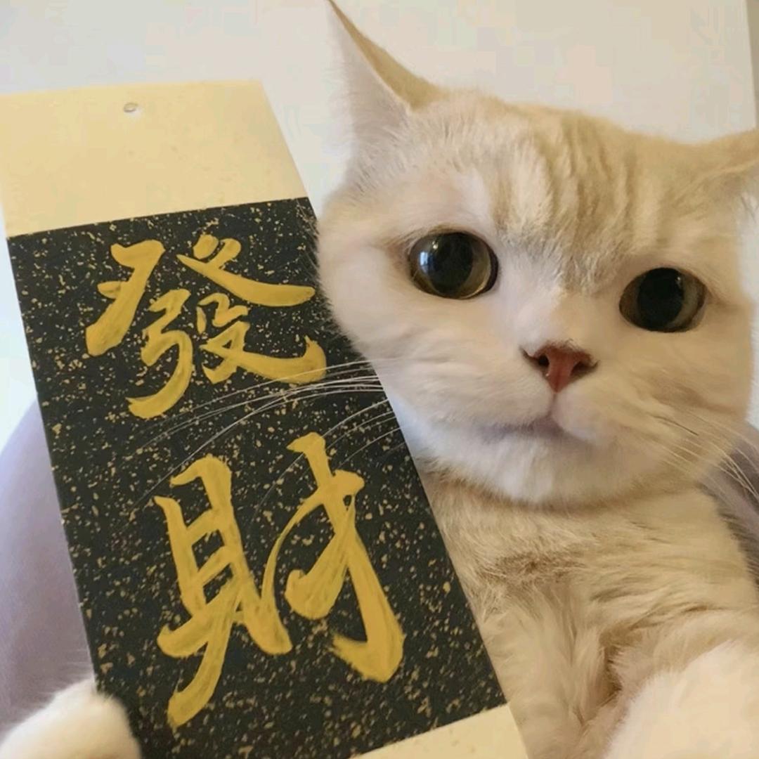 阿辞辞辞.