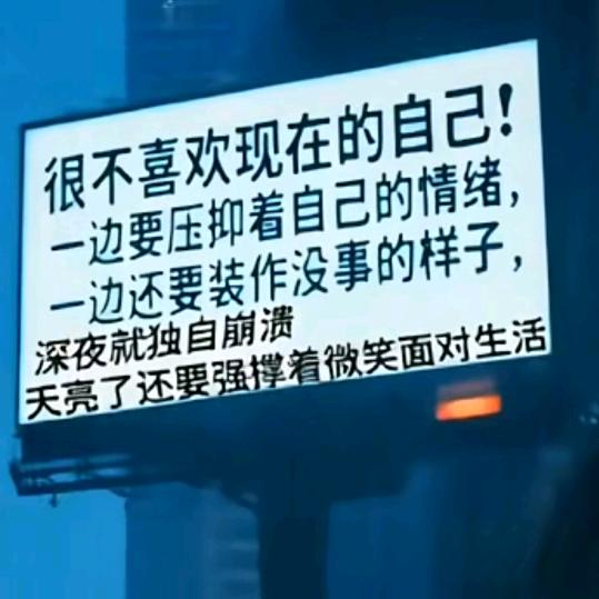😱西安网约车蝎子😱