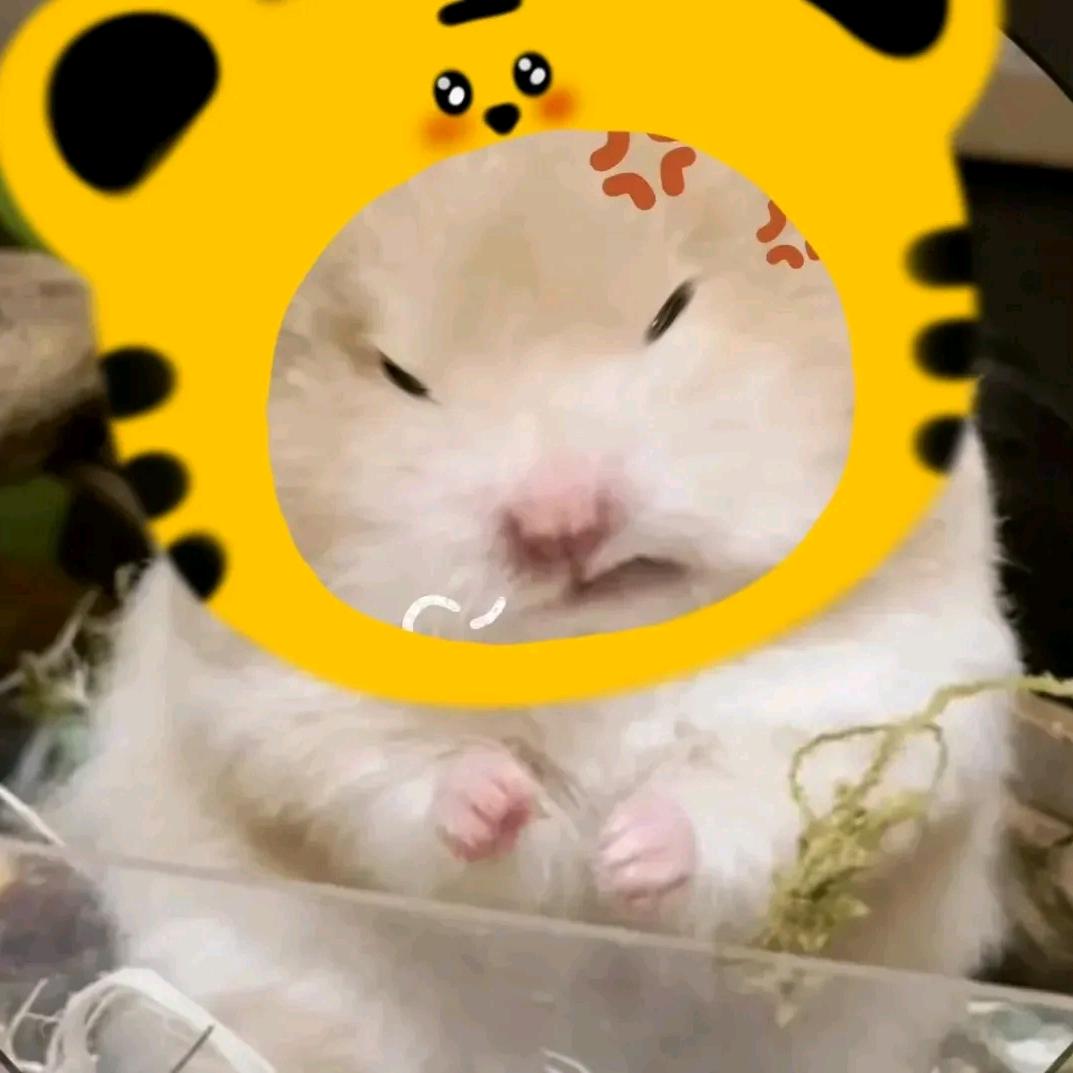 不想吃饭想赚钱