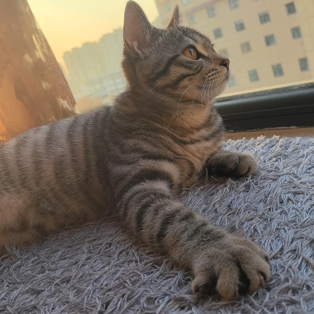 套圈套来的lucky