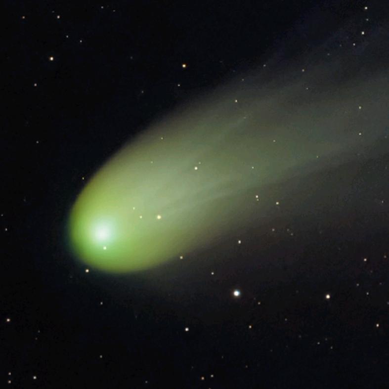 鹭岛之星(天文)