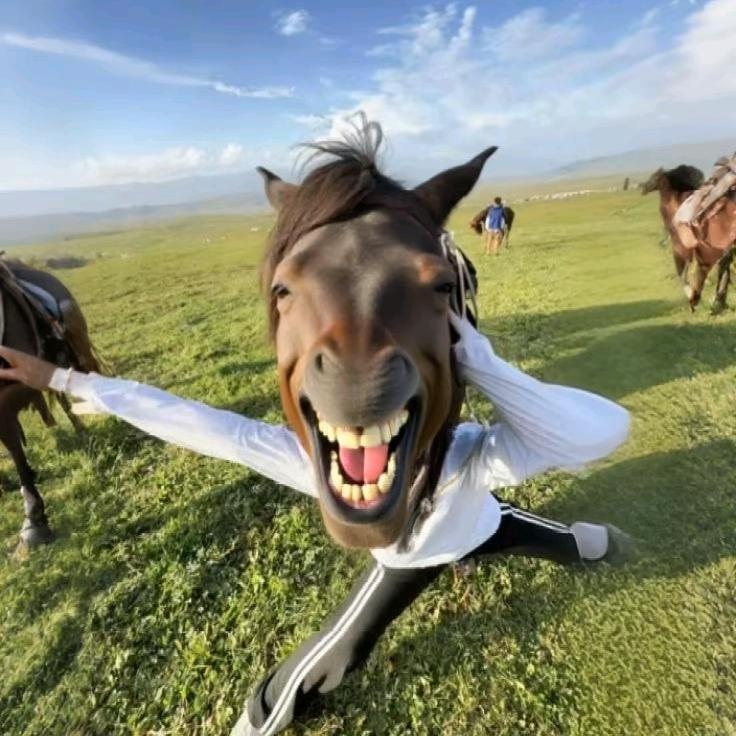 🌈你看我像人还是像神