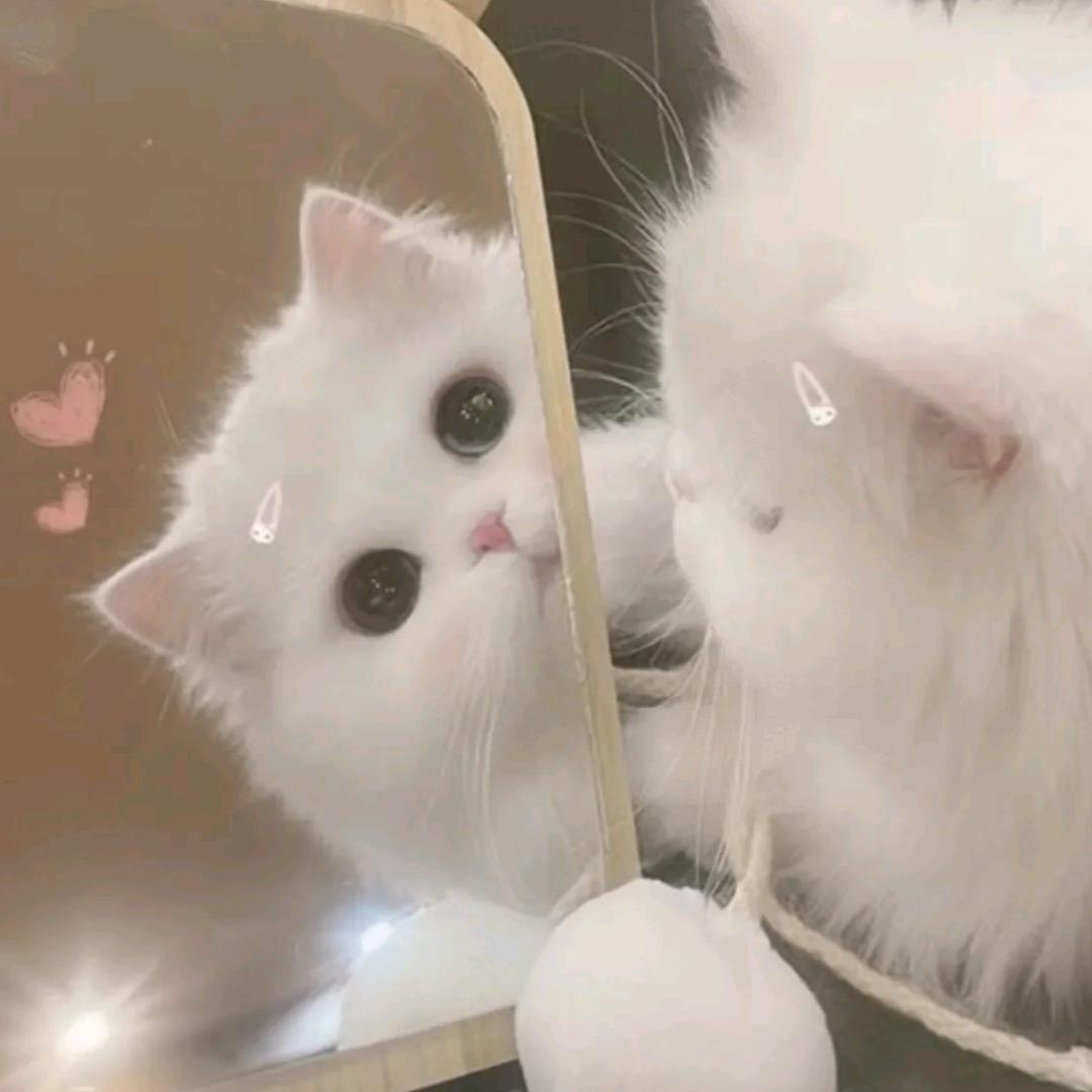 桃桃桃子