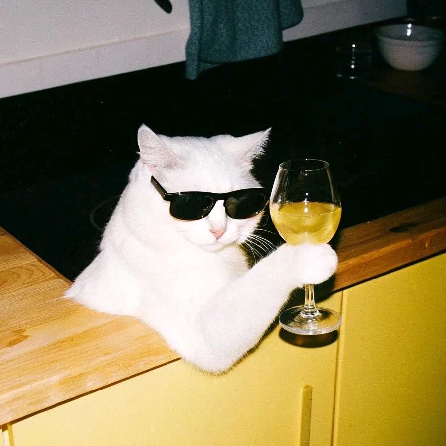 上头信号🥂（微醺就是艺术）