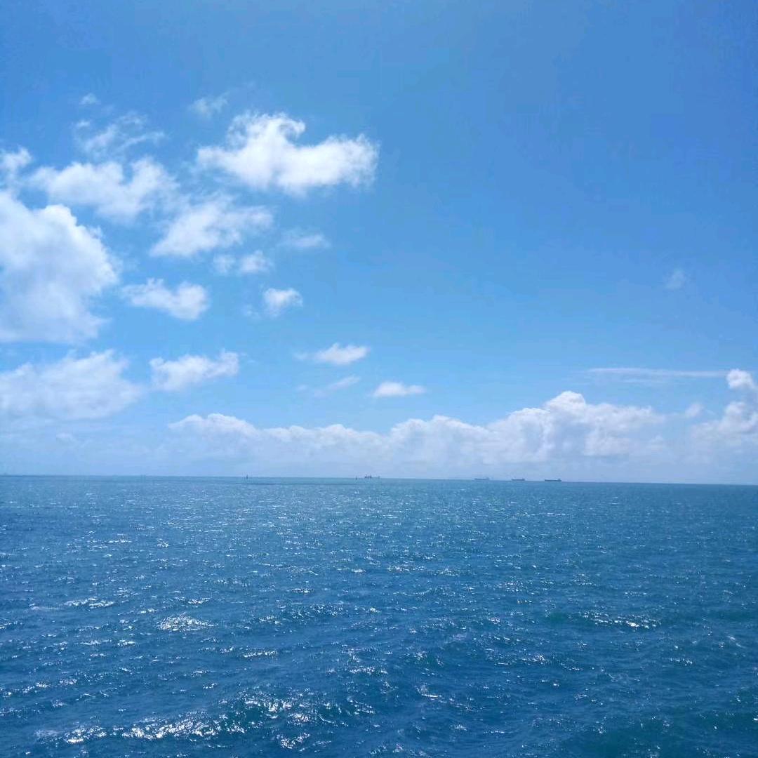驾驶员阳哥