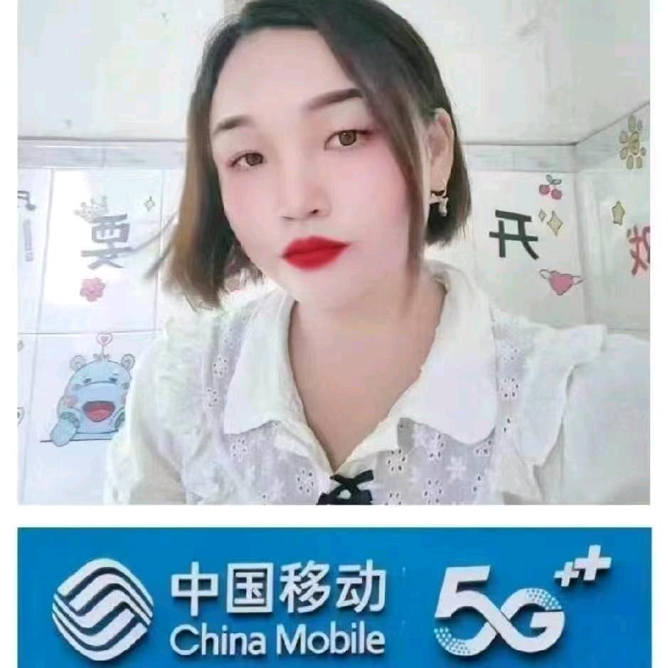 炎陵南桥手机店