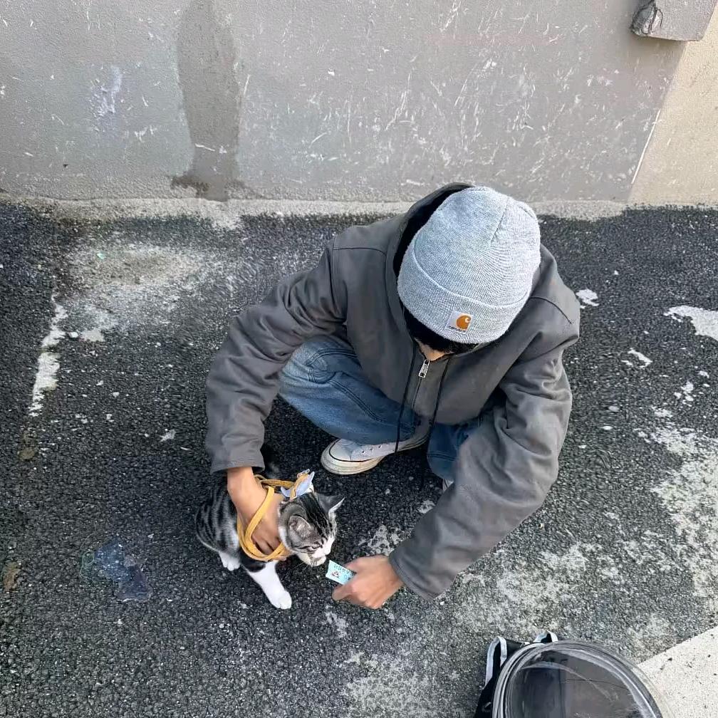 王哥 猪饲料批发（拒私聊）