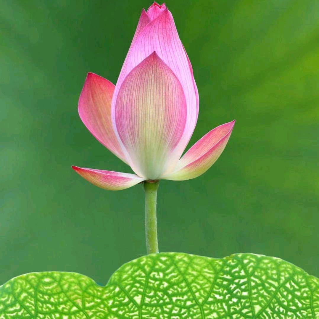 小雨