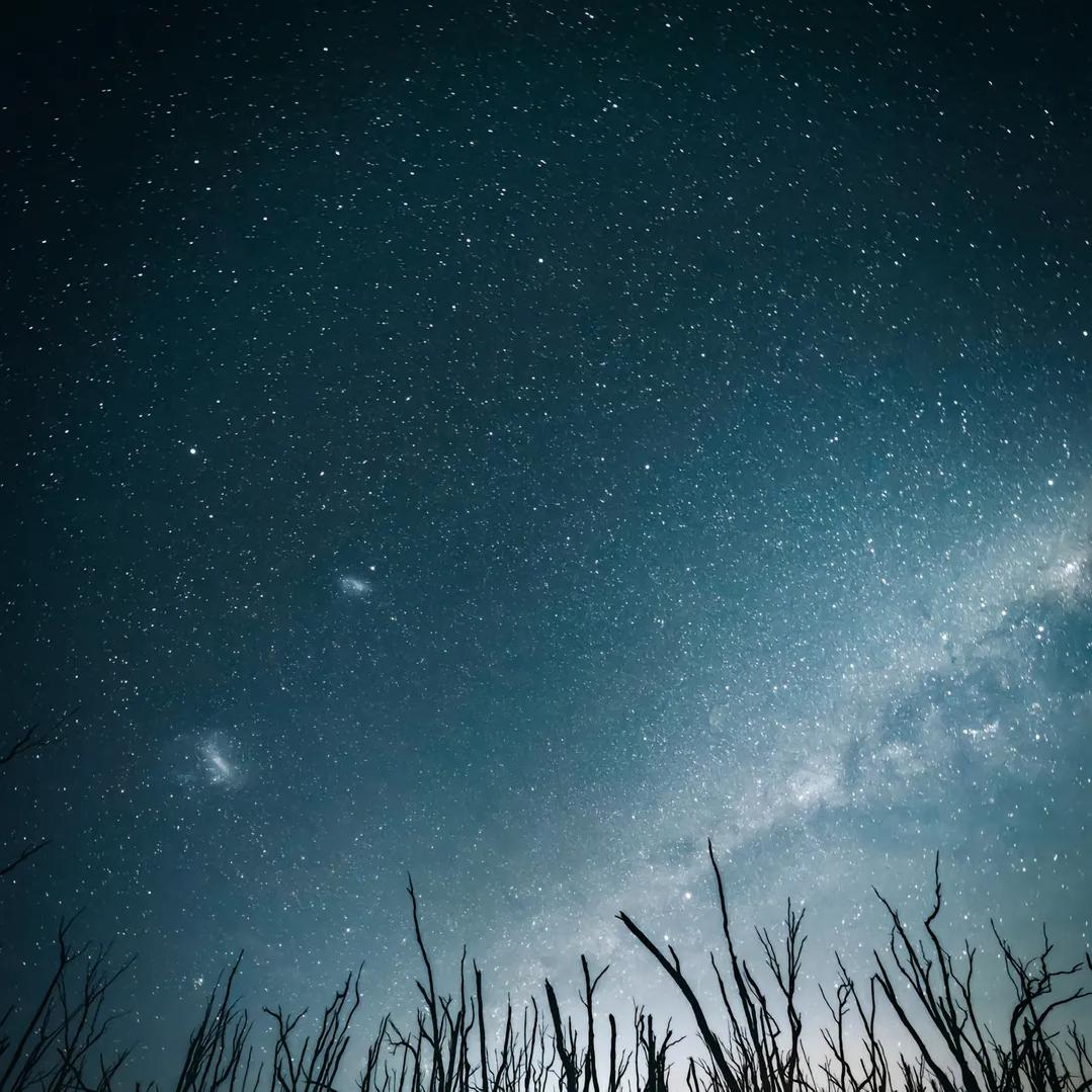 想成为地球人的外星人
