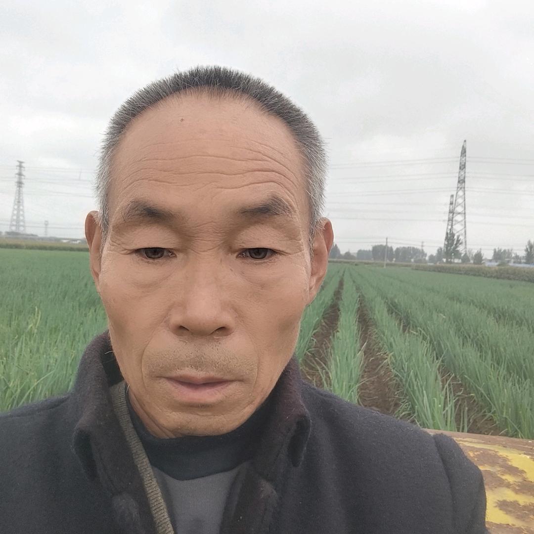 路k甲
