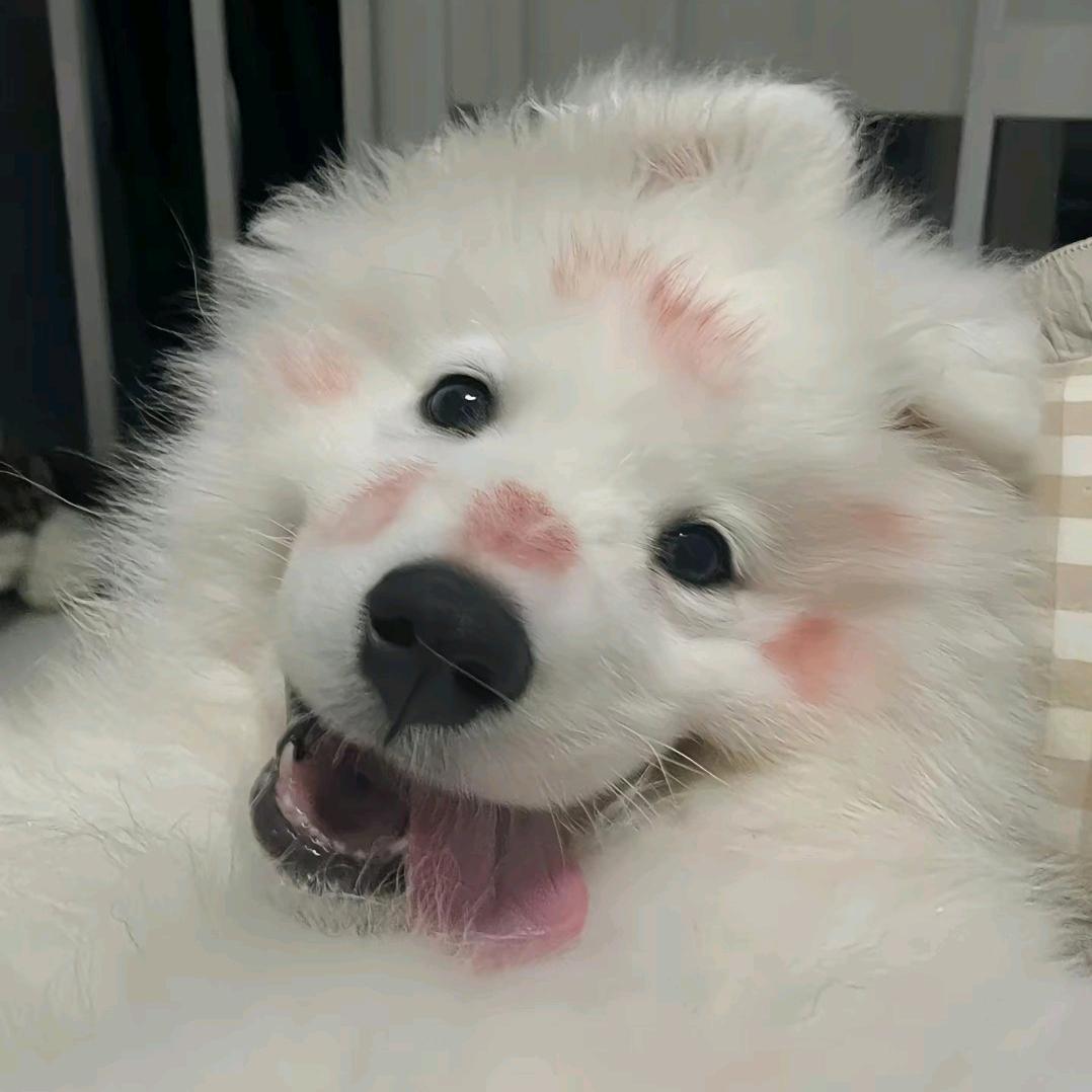 潇笑笑